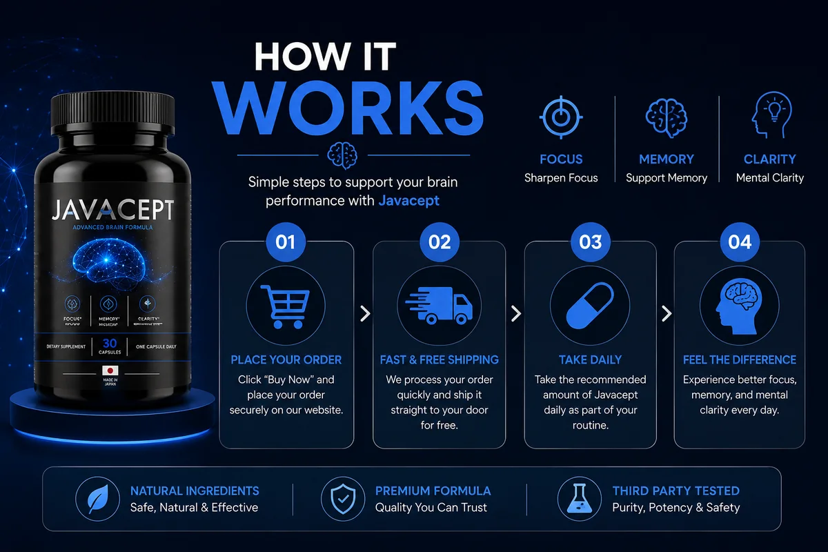 How Javacept supports the brain — one capsule daily supporting cerebral circulation, neuron energy and mental clarity